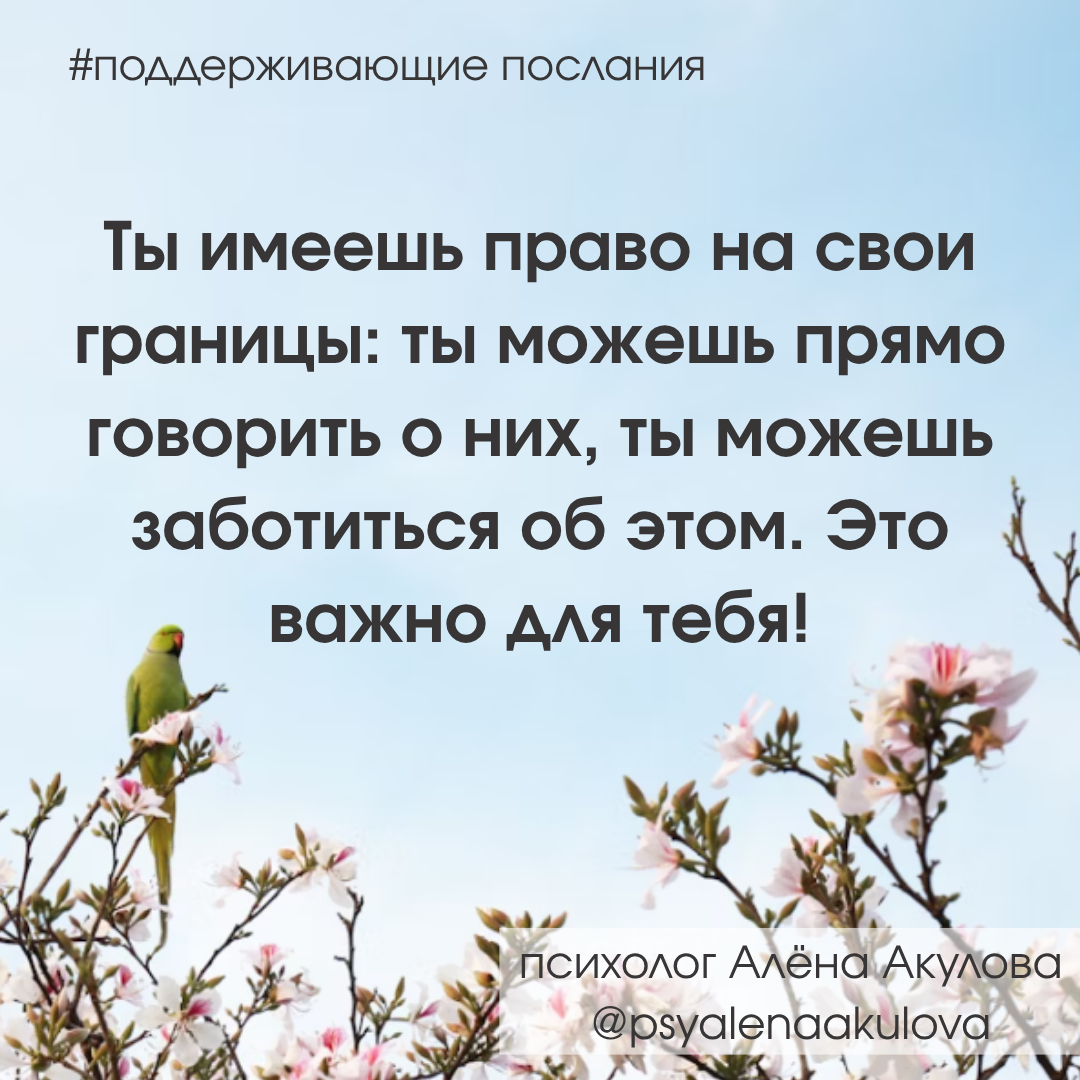 Поддерживающее послание 204