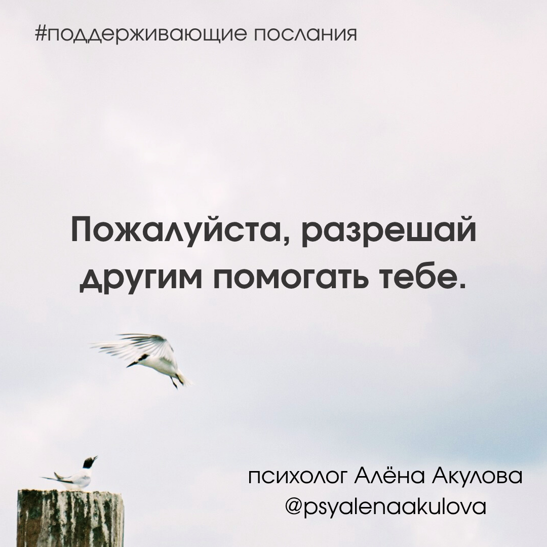 Поддерживающее послание 224